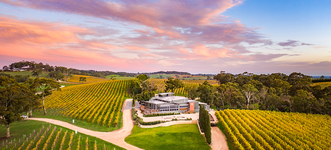 Drone view of The Lane Vineyard